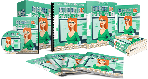 Internet Biz Systemization Course (Audios & Videos)