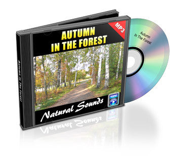 Autumn In The Forest (Audio)