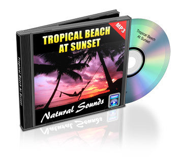Tropical Beach At Sunset (Audio)