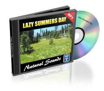 Lazy Summer Day (Audio)