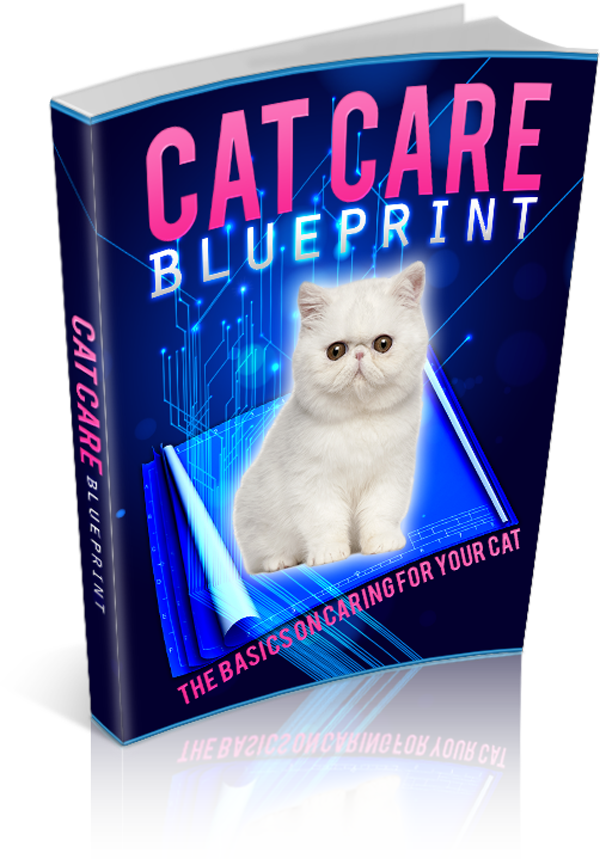 Cat Care Blueprint
