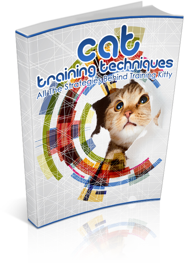 Cat Training Techniques