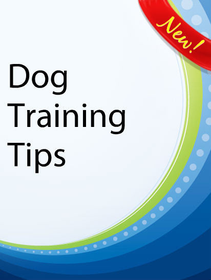 Dog Training Tips  PLR Ebook