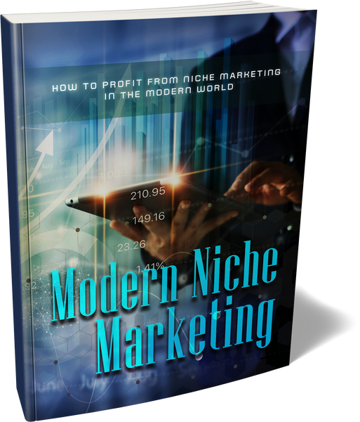 The 7 Step Success Blueprint For Niche Marketing