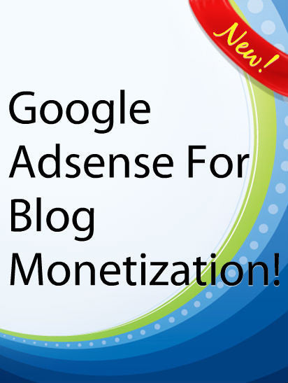 Google Adsense For Blog Monetization  PLR Ebook