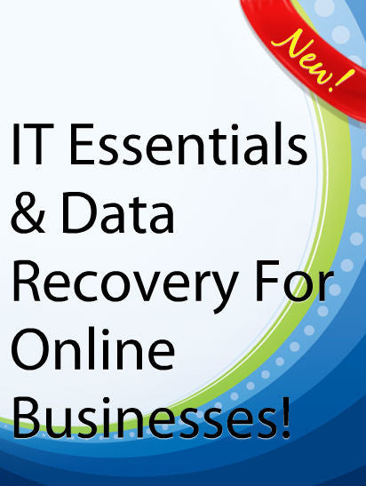 IT Essentials & Data Recovery For Online Businesses  PLR Ebook