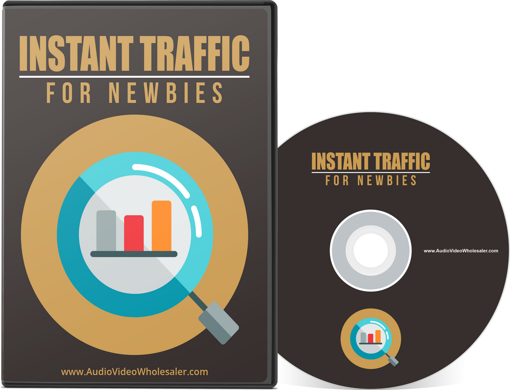 Instant Traffic for Newbies (Audio Video Course)