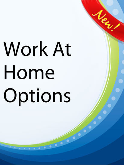 Work At Home Options  PLR Ebook