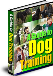 A Guide To Dog Training