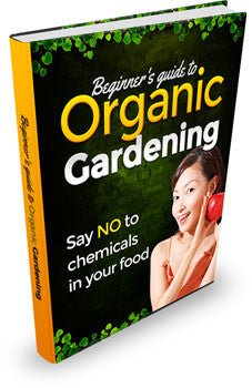 Beginners Guide to Organic Gardening