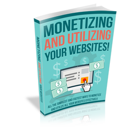 Monetizing and Utilizing Your Website